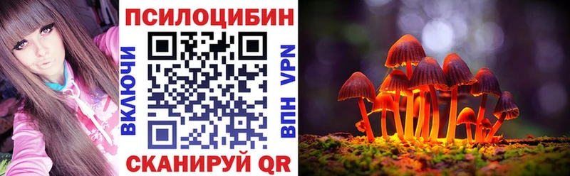 Псилоцибиновые грибы мицелий  Купить  Нижний Тагил 